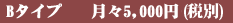 Bタイプ 月々5000円(税別)