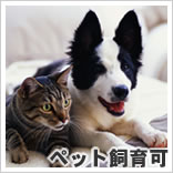 ペット飼育可のマンションです!